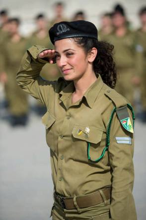 מגל1