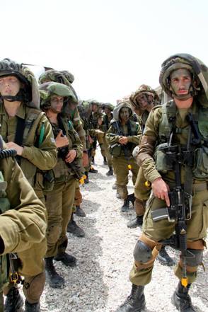 מגל2